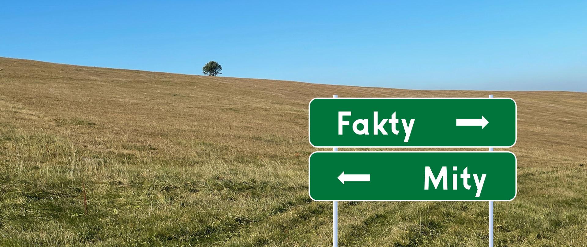 Krajobraz łąki z drogowskazem "Fakty i Mity" na pierwszym planie