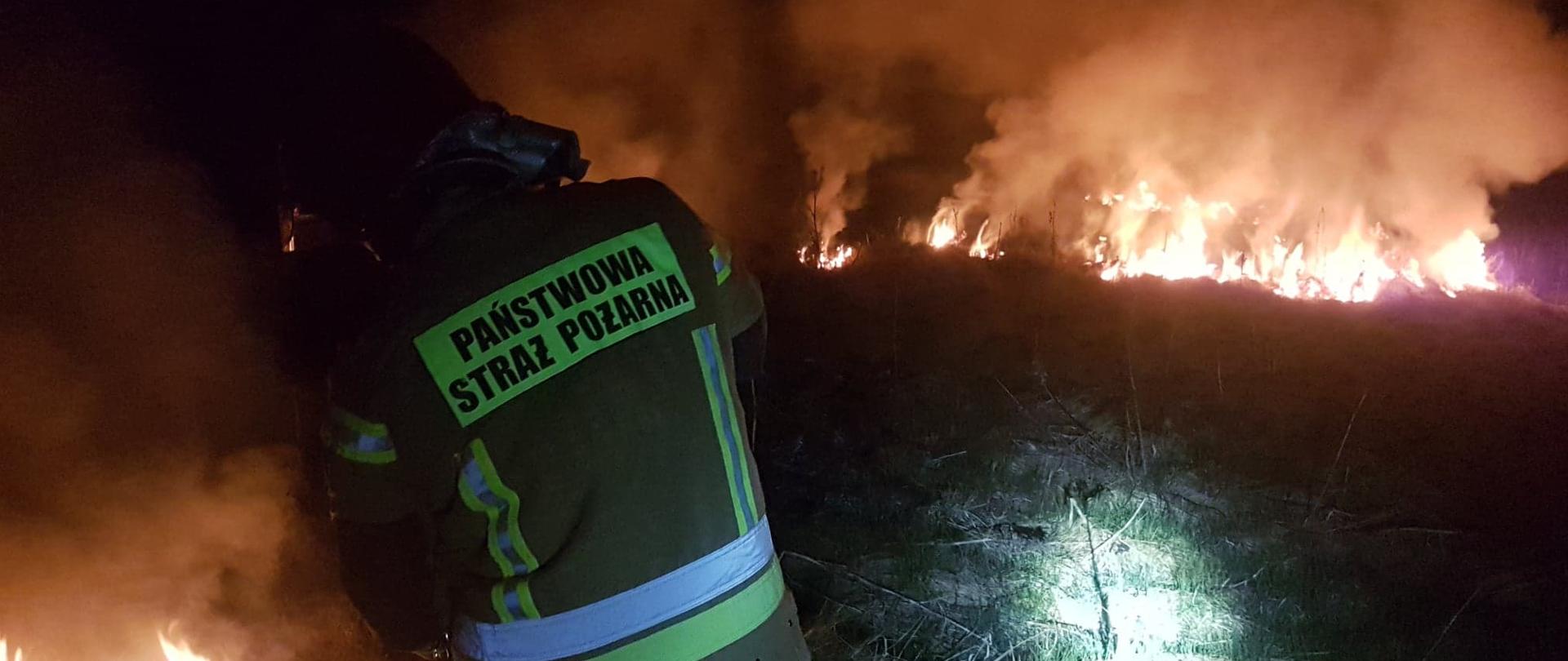 Zdjęcie przedstawia strażaka walczącego z żywiołem. 