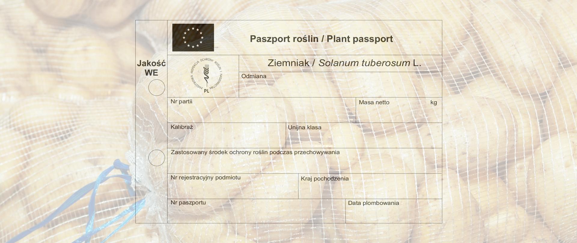 wzór paszportu dla ziemniaków sadzeniaków na tle bulw ziemniaka
