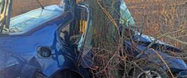 Wypadek samochodu osobowego marki VOLKSWAGEN Bora na drodze powiatowej 2029P w miejscowości Międzylesie