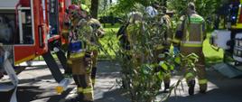 Ćwiczenia w Pakosławiu. Na tle wozów strażackich i parku znajdują się strażacy uczestniczący w ćwiczeniach. Mają białe, żółte i czerwone hełmy. Na pierwszym planie duża roślina w donicy.