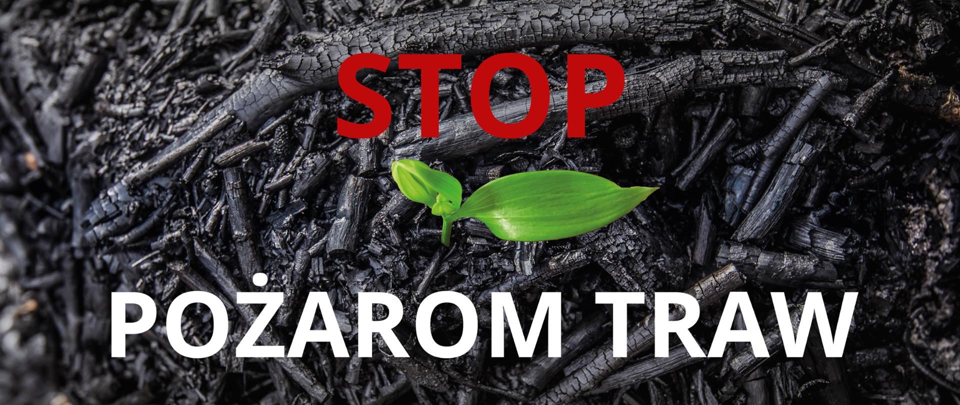 Ilustracja przedstawia, w tle fragment spalonego poszycia leśnego z jednym kiełkującym zielonym liściem, u góry czerwony napis STOP, a na dole biały napis POŻAROM TRAW.