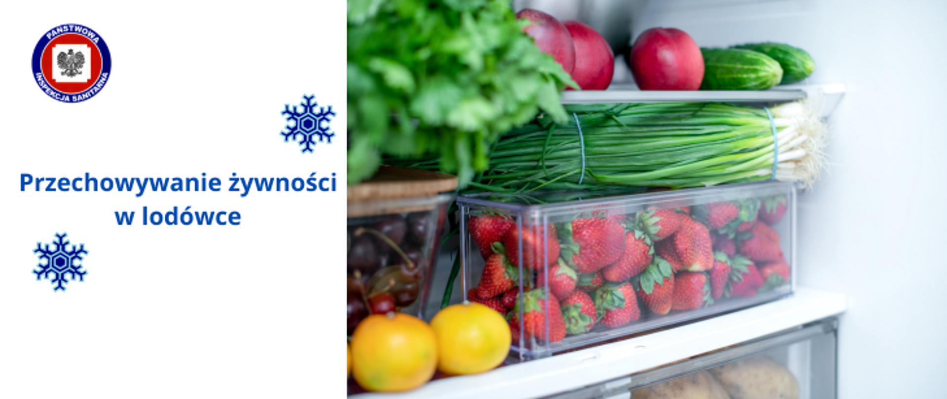 Po prawej stronie poukładane w lodówce różne warzywa i owoce, po lewej na jasnym tle dwie niebieskie śnieżynki i granatowy napis Przechowywanie żywności w lodówce, w lewym górnym rogu logo Państwowej Inspekcji Sanitarnej. 