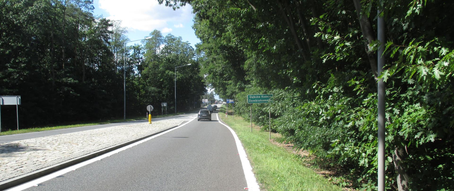 Fragment DK46 na odc. Dębska Kuźnia - Schodnia