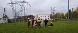 Osoby stoją obok linii elektroenergetycznej ubrani w stroje oraz posiadający specjalistyczny osprzęt. 