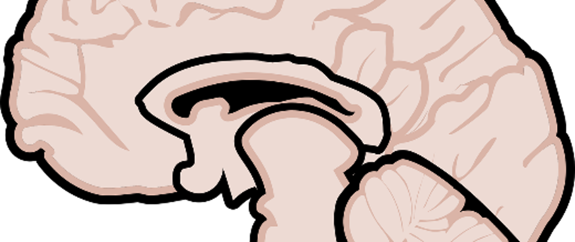 Światowy Dzień Stwardnienia Rozsianego