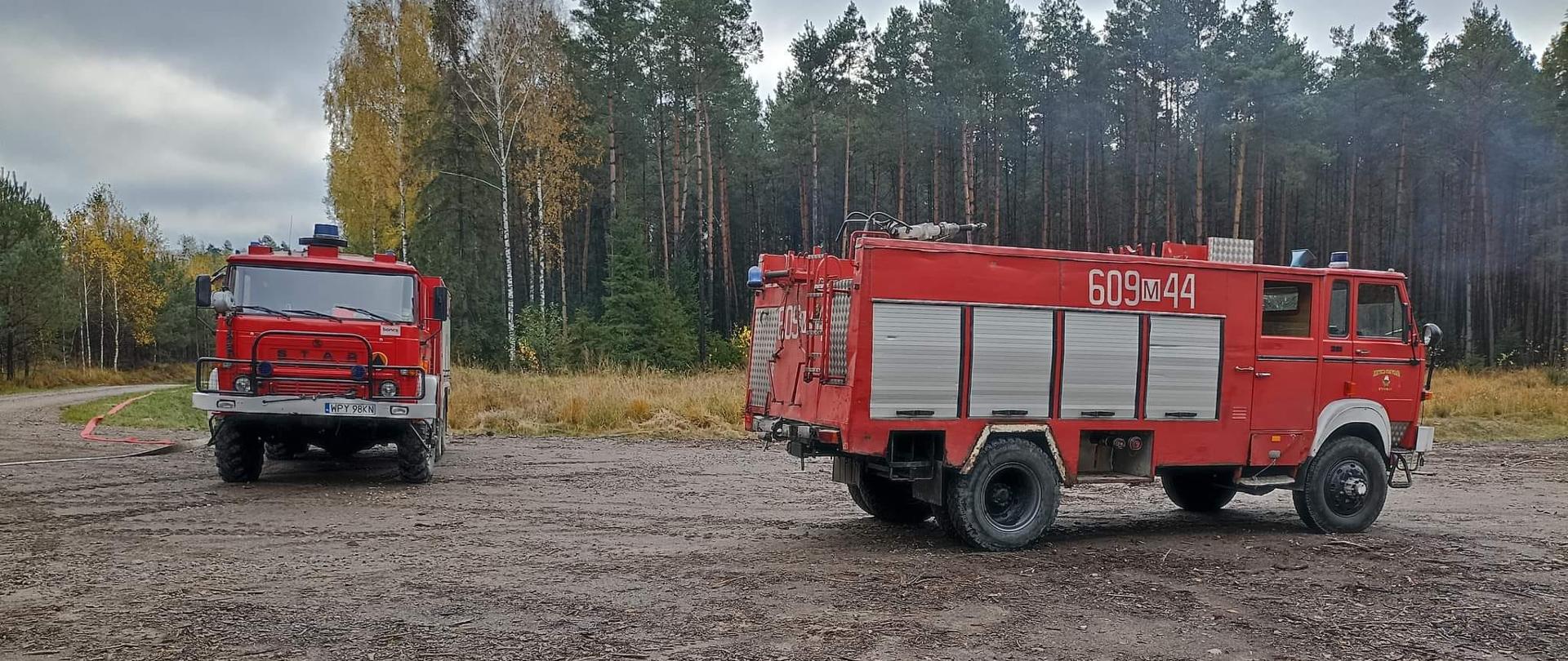 25.10.2022 Leśnictwo Kurzacze gm. Przysucha fot. OSP Wysokin