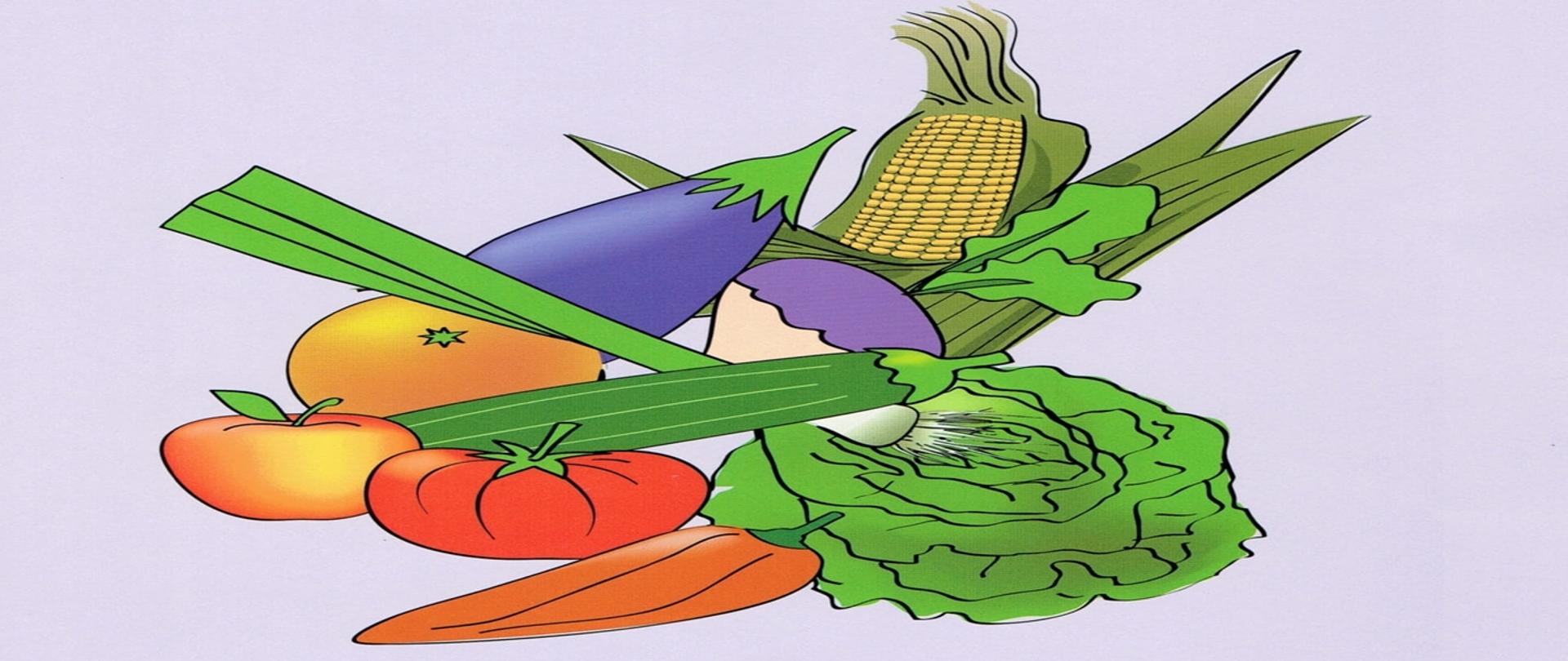 obrazek a na nim owoce i warzywa