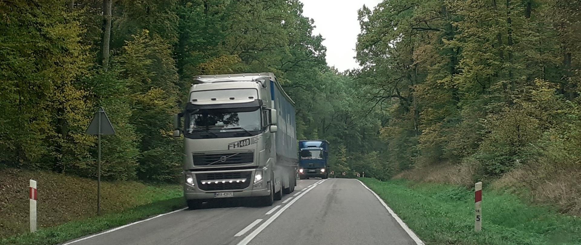 Na zdjęciu widoczna droga jednopasmowa, po której poruszają się samochody ciężarowe. Droga biegnie przez las, drzewa są zielone. Przy drodze widoczne słupki kilometrażowe