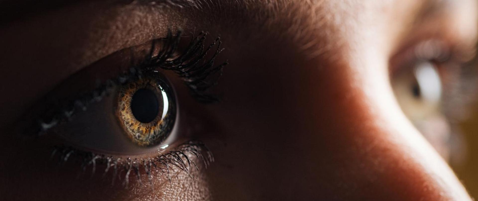 Na zdjęciu są oczy.