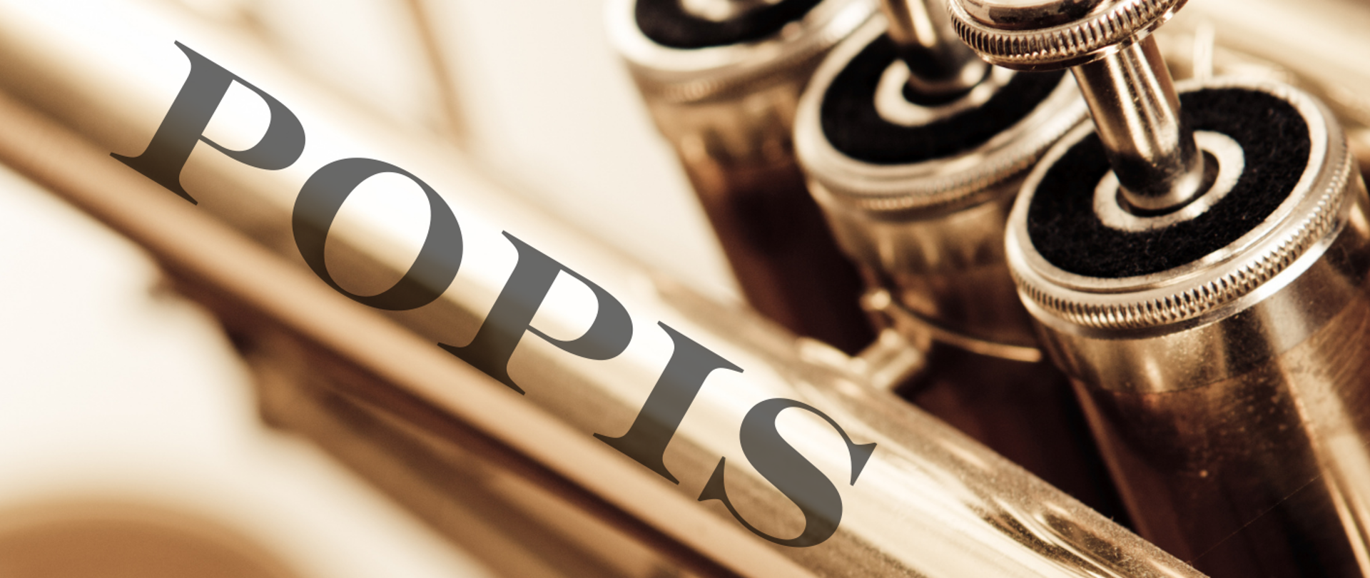 Popis uczniów klasy trąbki Sala koncertowa PSM I st. w Biłgoraju 15 kwietnia 2024 godz. 17:30.trąbka. Elementy dekoracyjne, logo szkoły