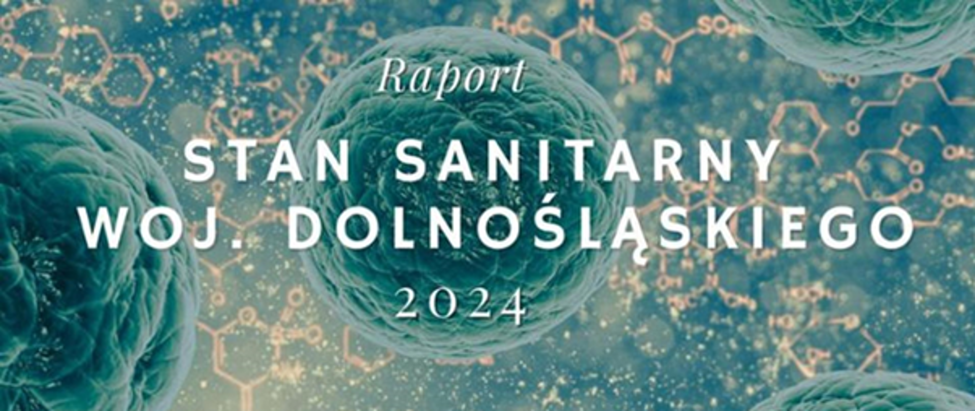 Ocena stanu sanitarnego województwa dolnośląskiego za rok 2024