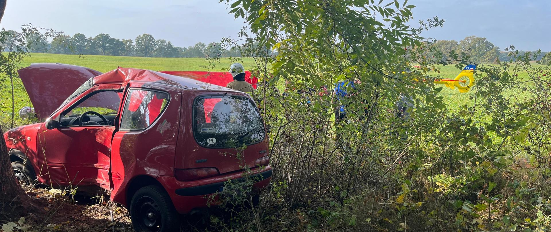 Pojazd po uderzeniu w drzewo oaz pracujące służby