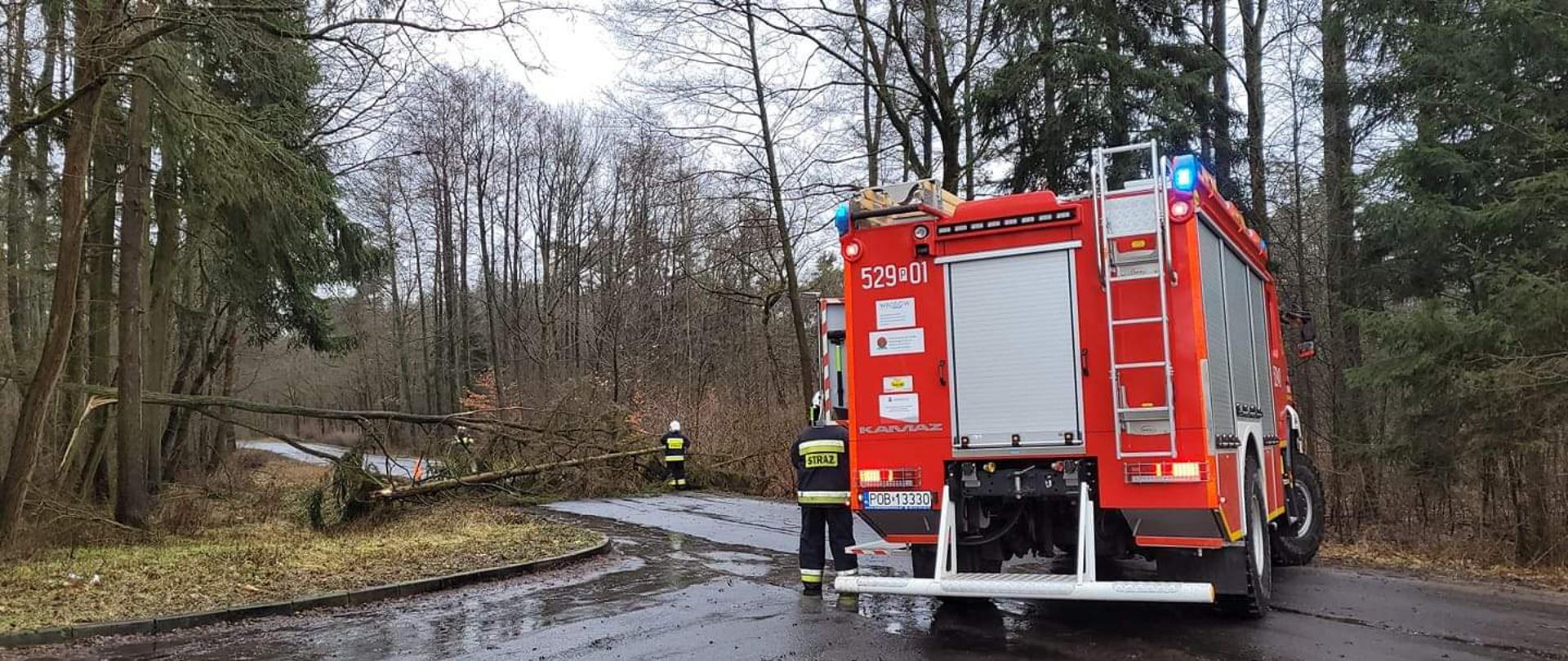 Zdjęcie przedstawia powalone na drogę drzewa oraz samochód pożarniczy i strażaka.