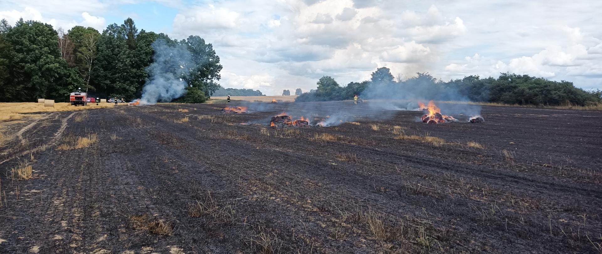 POŻAR ŚCIERNISKA W MIEJSCOWOŚCI ŚMIESZKOWO