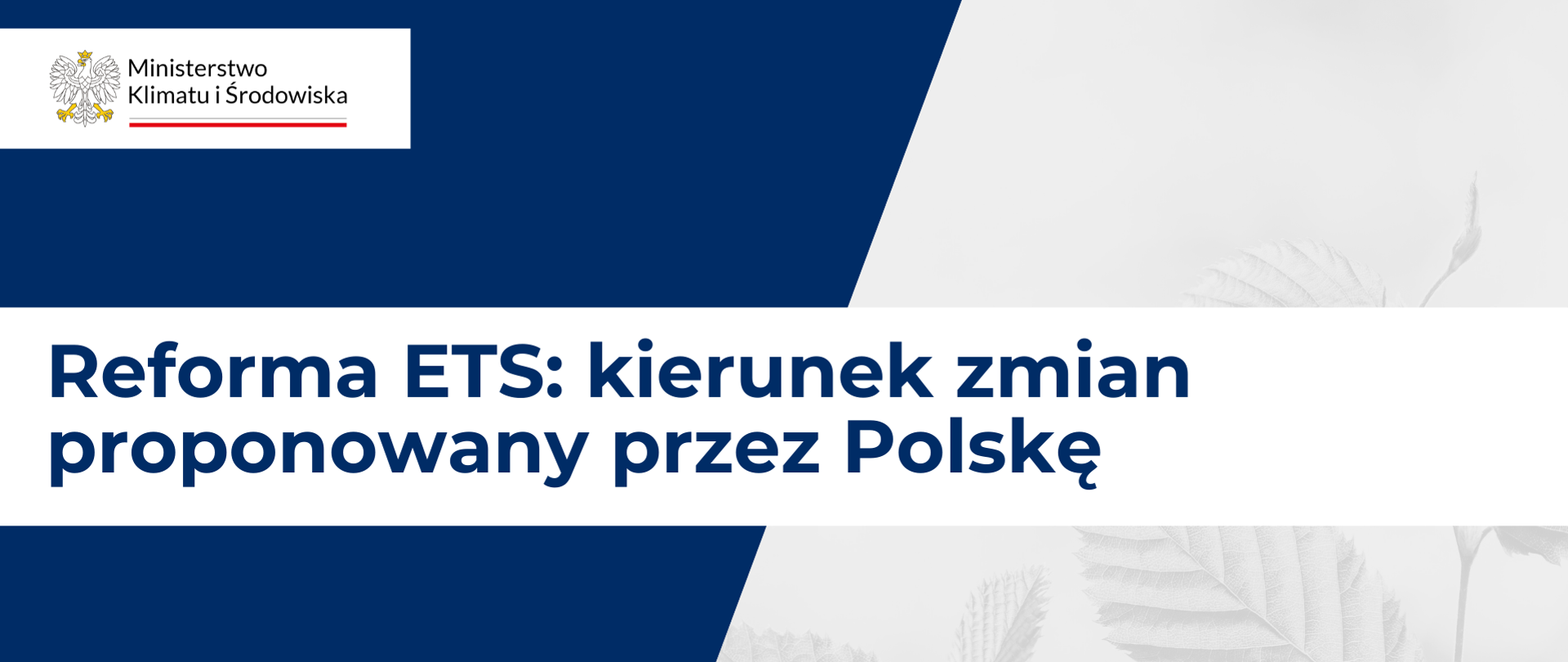 Reforma ETS kierunek zmian proponowany przez Polskę