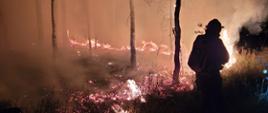 Pożar lasu w porze nocnej. Widać palący się las na dużym obszarze. Płomienie objęły ściółkę oraz w niektórych miejscach drzewa. Widać duże ilości dymu. Po prawej stronie na zdjęciu widać sylwetkę strażaka, który podejmuje działania gaśnicze. 