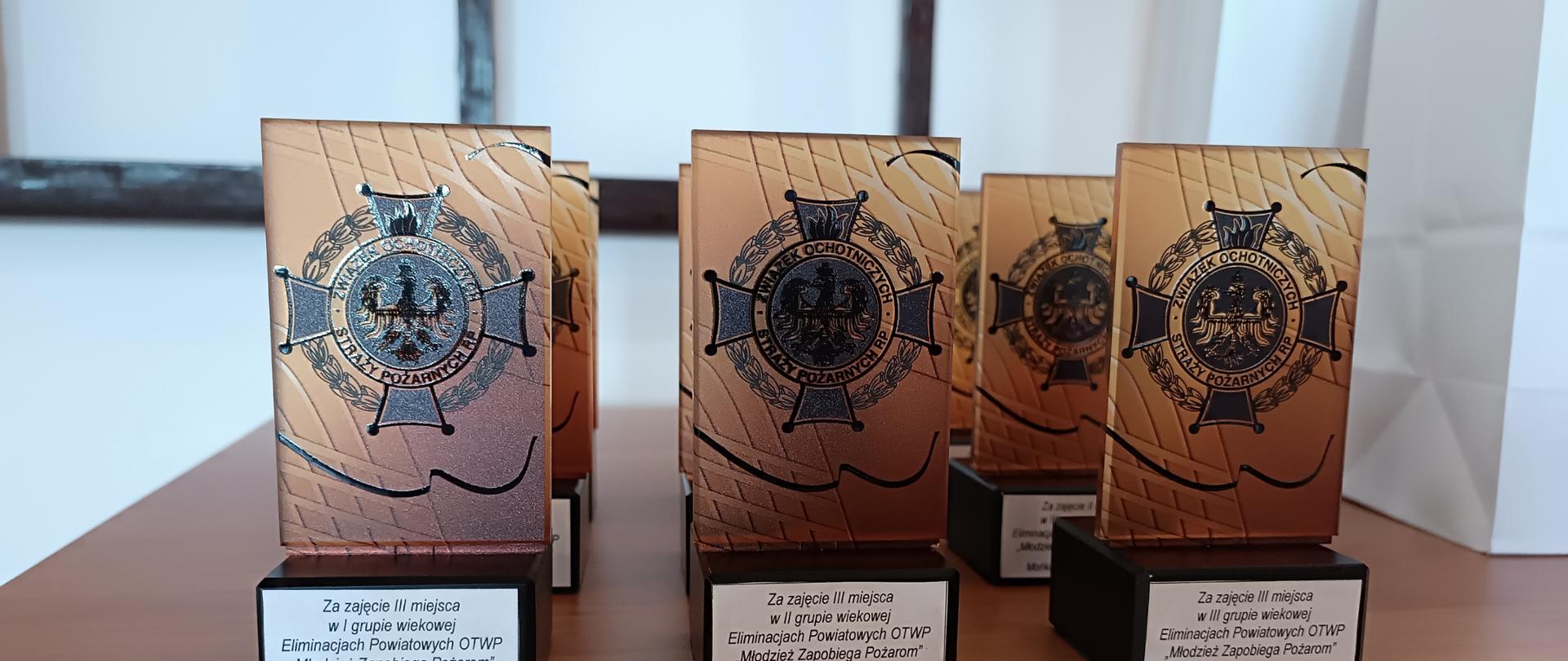 Eliminacje Powiatowe Ogólnopolskiego Turnieju Wiedzy Pożarniczej 