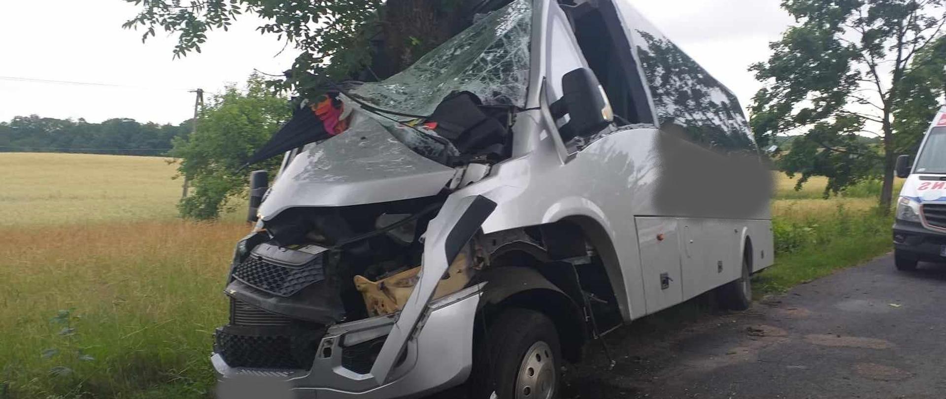Zdjęcie przedstawia srebrnego busa do przewozu osób, który uderzył przodem w drzewo i jest mocno uszkodzony.