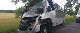 Zdjęcie przedstawia srebrnego busa do przewozu osób, który uderzył przodem w drzewo i jest mocno uszkodzony.