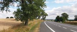 DK46 na odcinku Nysa - Pakosławice