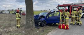 niebieski samochód osobowy po uderzeniu w drzewo wokół niego strażacy obok samochodu przy otwartych drzwiach czerwona torba za samochodem samochód strażacki, w oddali widać stojące inne samochody osobowe