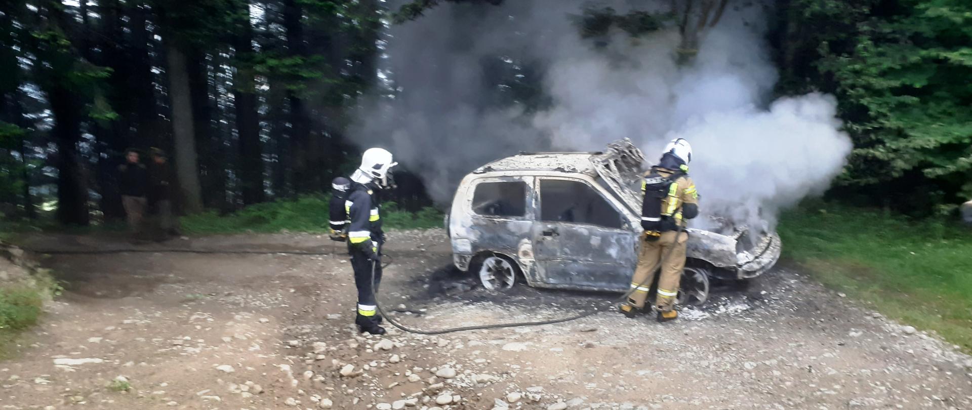 Strażacy gaszą pożar samochodu w lesie.