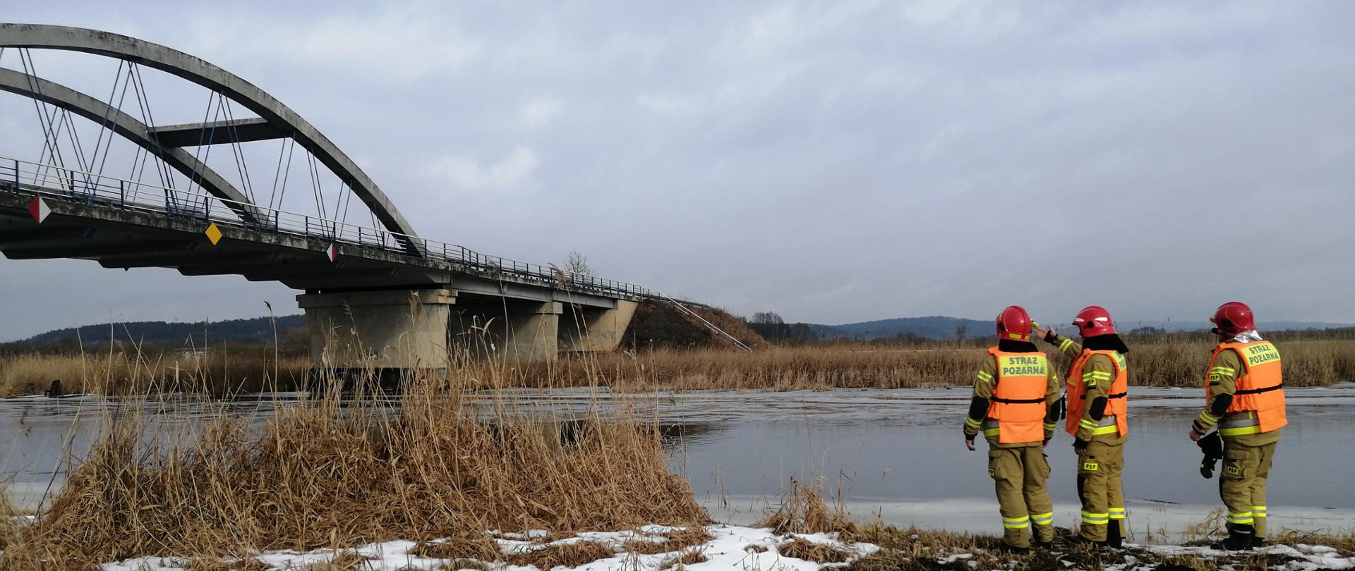 trzech strażaków stoi na brzegu rzeki - rozpoznanie terenu