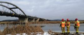 trzech strażaków stoi na brzegu rzeki - rozpoznanie terenu