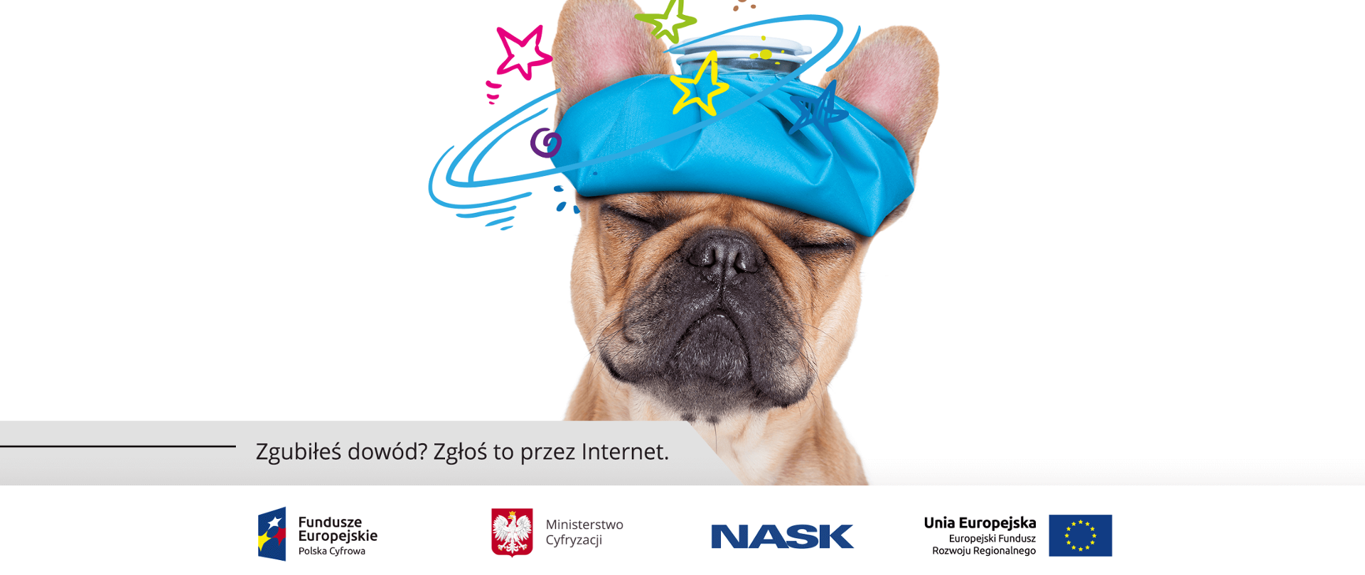 Pies z zimnym okładem na głowie