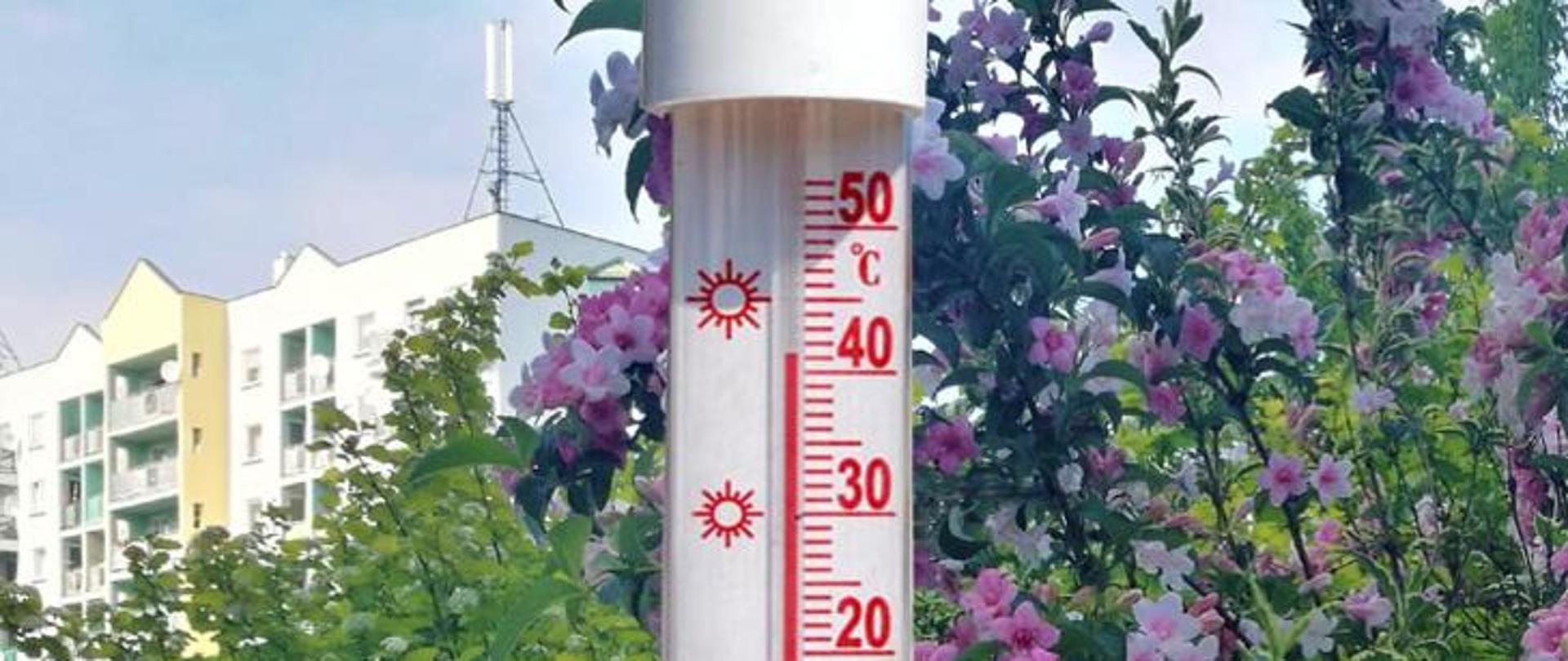 Zdjęcie przedstawia termometr rtęciowy.
W tle drzewa i kwiaty oraz budynki mieszkalne.