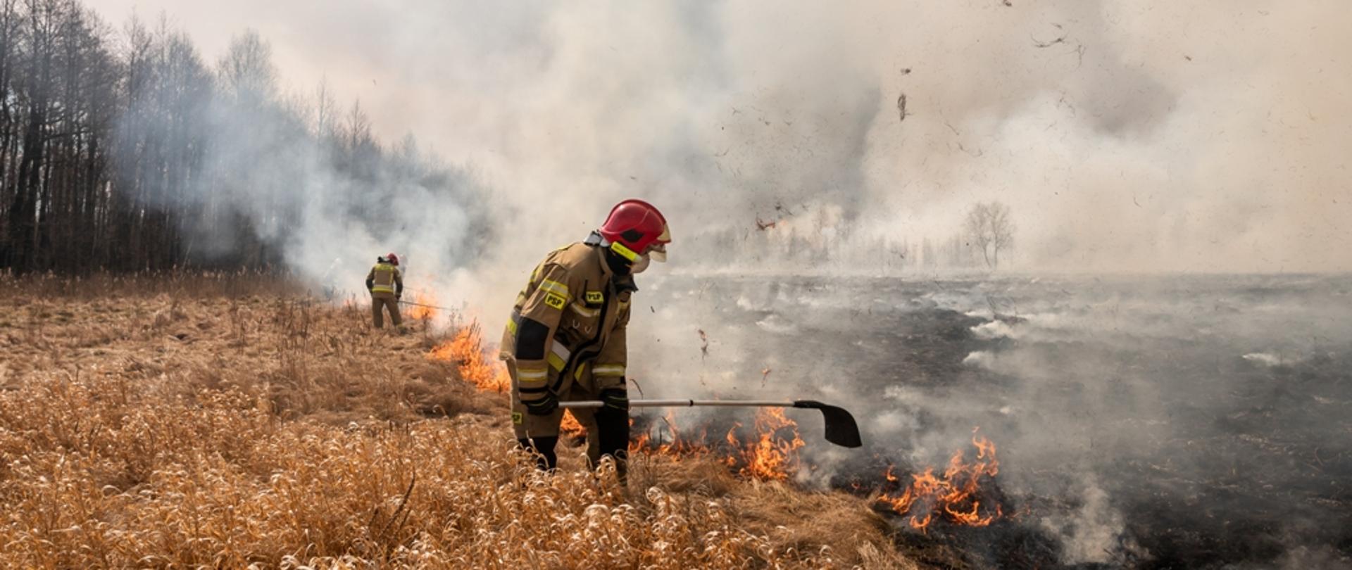 Strażacy PSP gaszący tłumicami pożar.