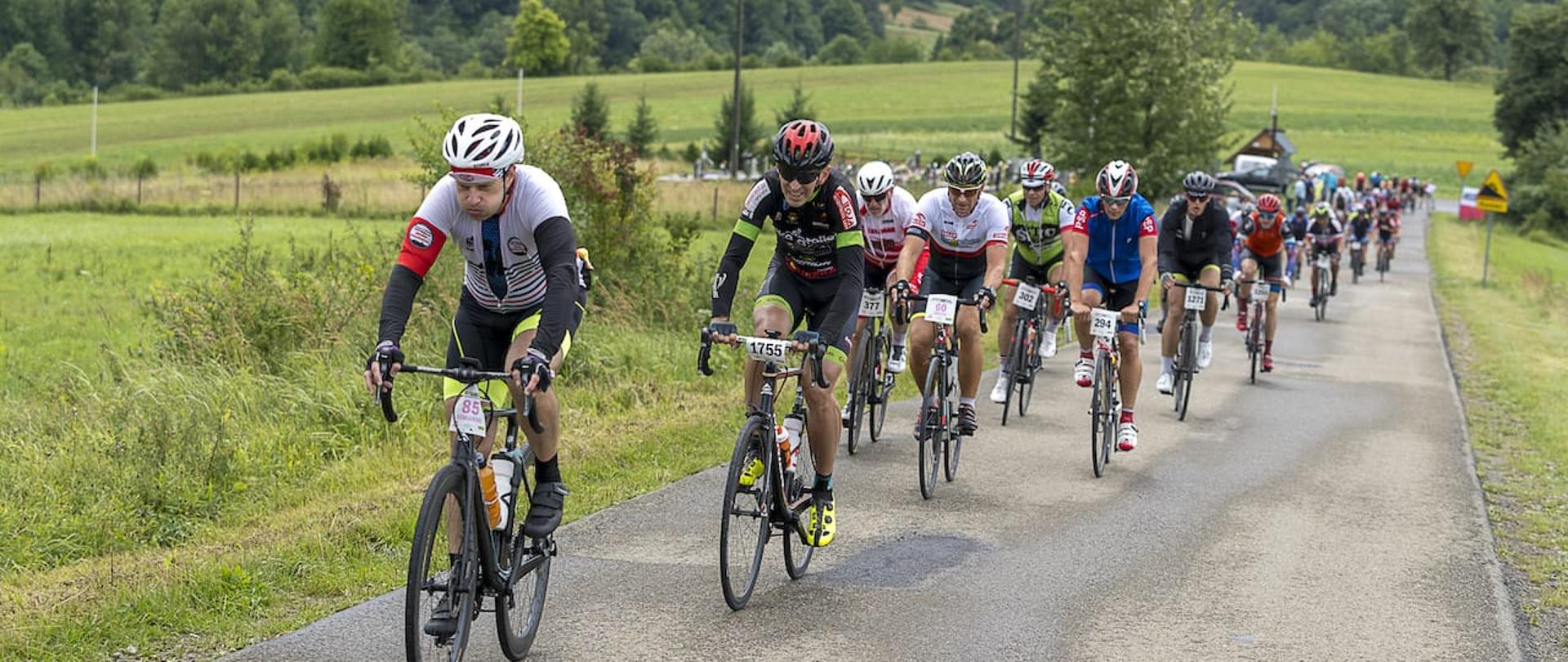 Wielu kolarzy jedzie drogą.