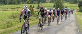 Wielu kolarzy jedzie drogą.
