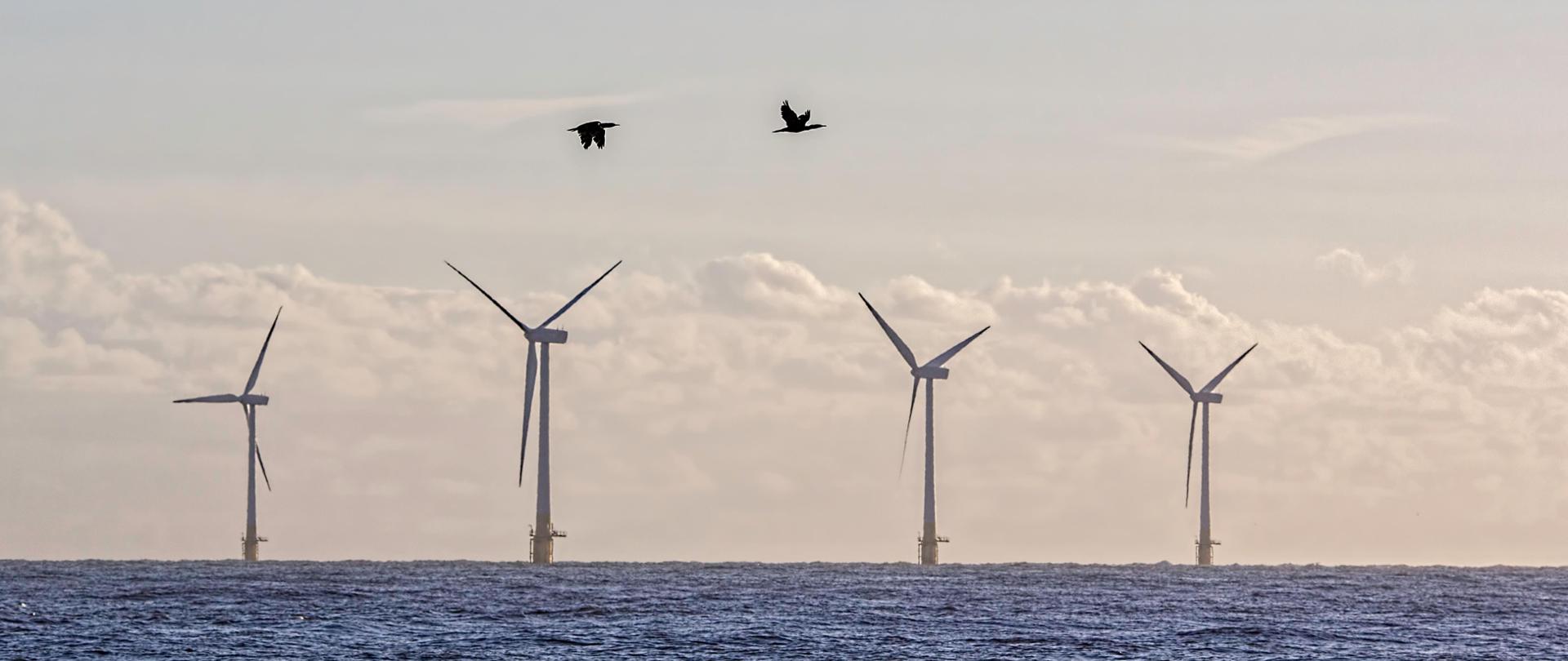Na pierwszym planie widać morze, na horyzoncie wystające cztery wiatraki, w tle pochmurne niebo oraz dwa lecące ptaki