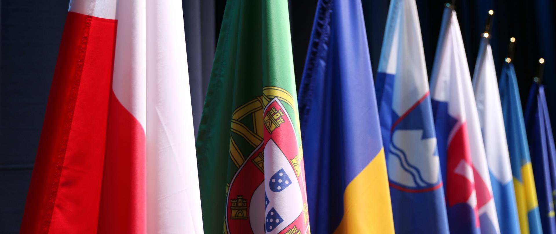 W Strasburgu o celach klimatycznych w transporcie samochodowym