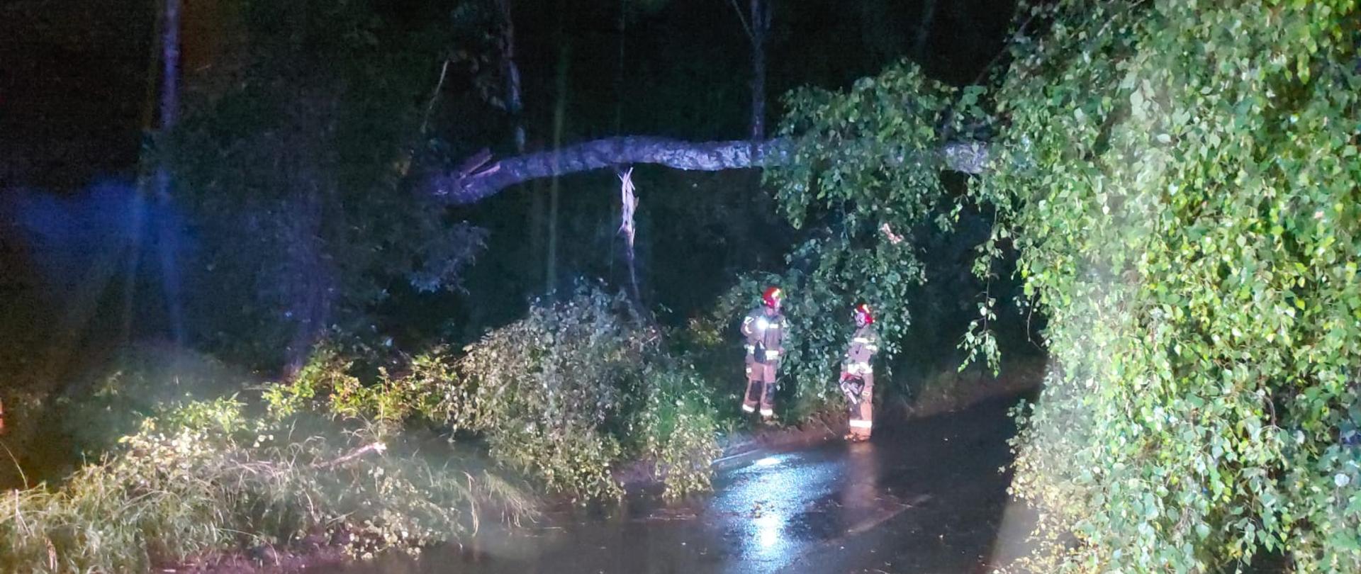 Interwencje po przejściu burzy w nocy z 24/25 czerwca.