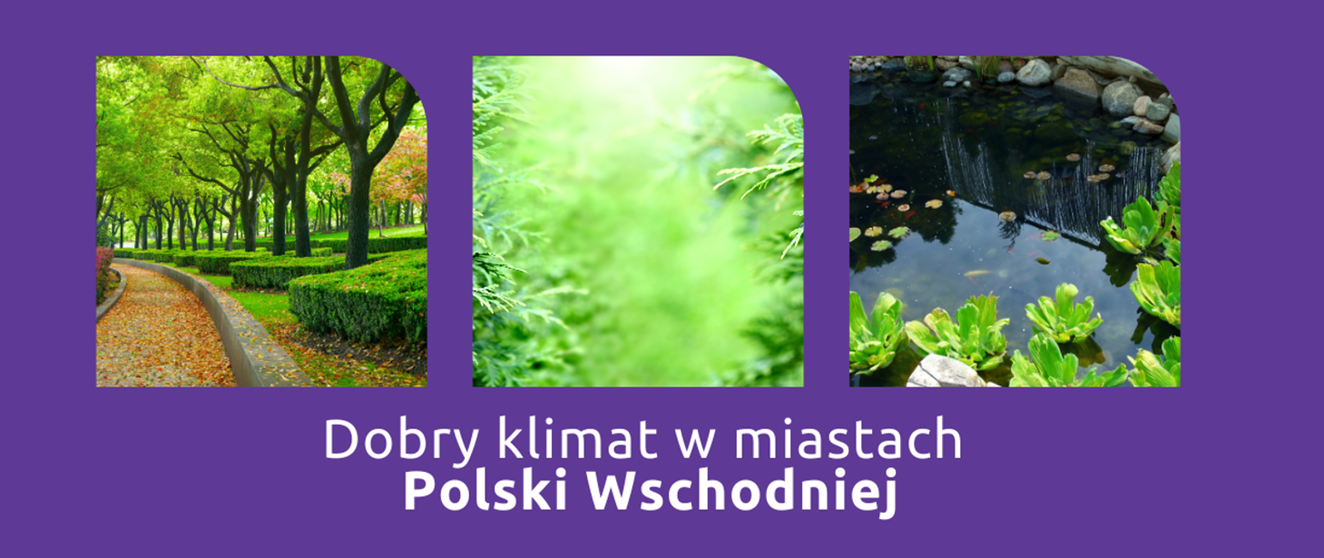 Dobry klimat w miastach Polski Wschodniej. Rusza nabór projektów do dofinansowania w obszarze adaptacji miast do zmian klimatu
