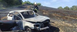 Na zdjęciu strażak gasi wodą spalony samochód na polu