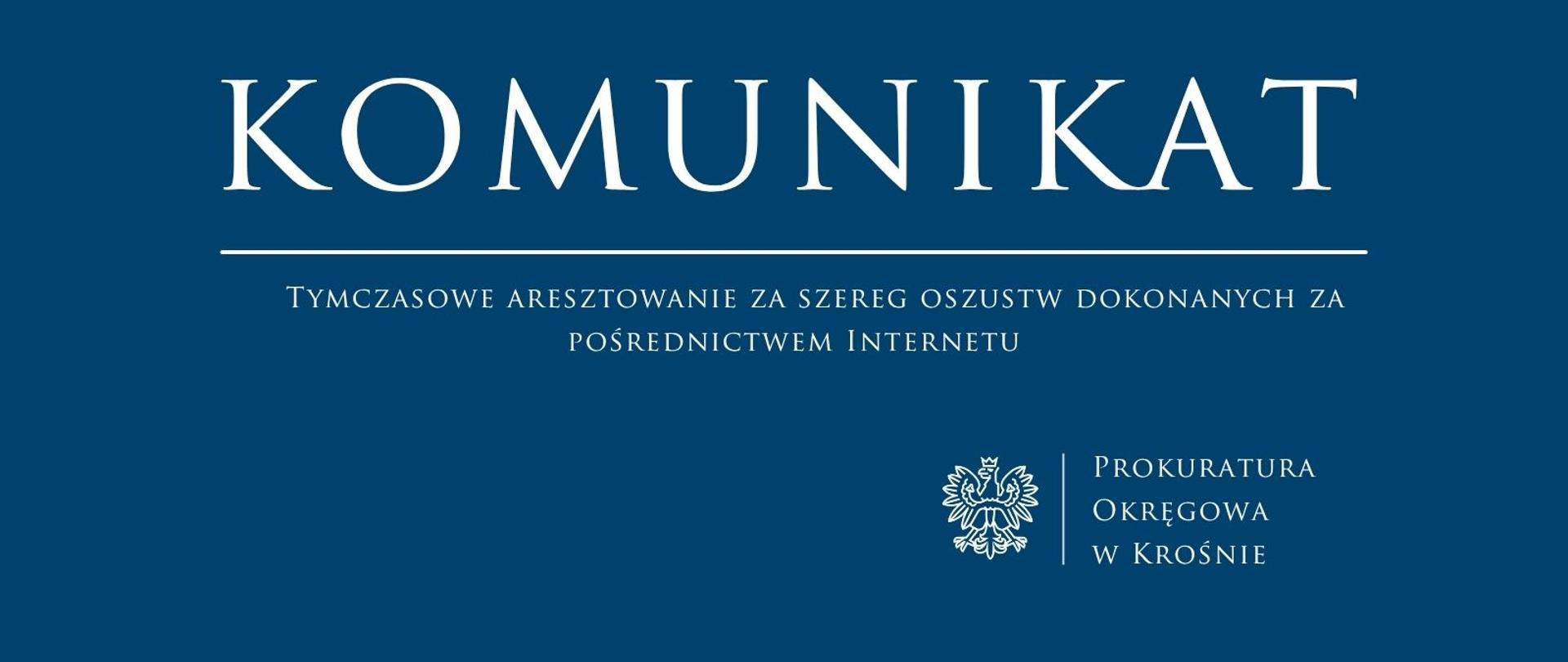 Tymczasowe aresztowanie za szereg oszustw dokonanych za pośrednictwem Internetu