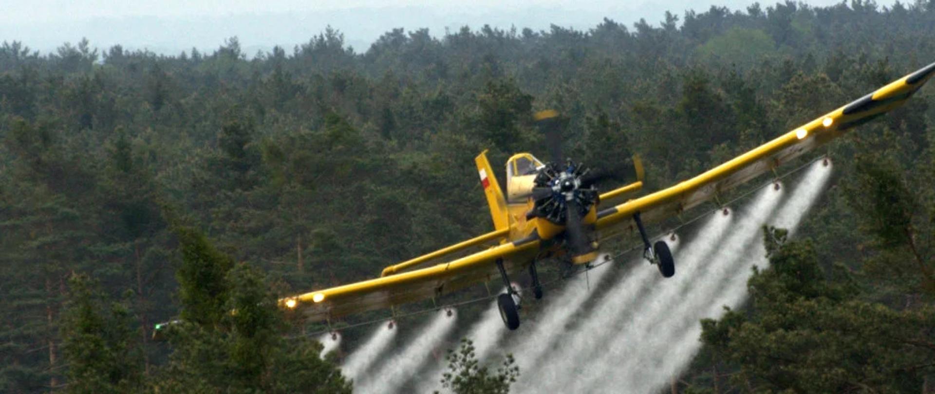 Żółty samolot rolniczy wykonuje oprysk nad lasem, rozpylając ciecz z dysz umieszczonych pod skrzydłami, tuż nad wierzchołkami drzew.