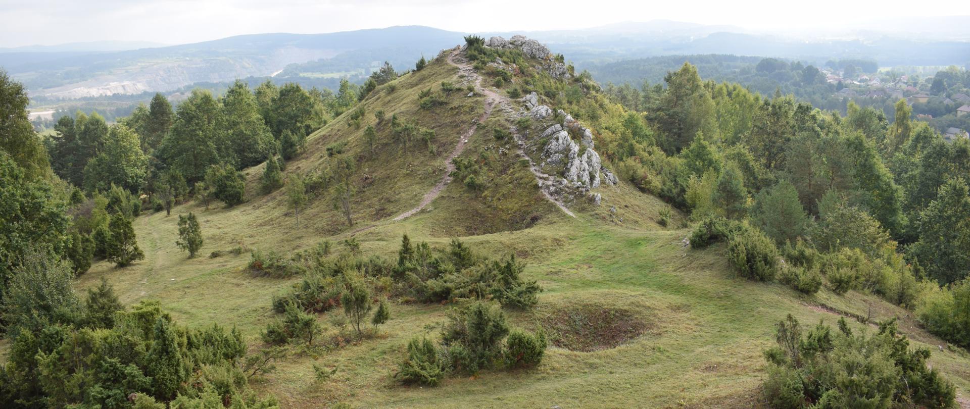 Podsumowanie działań w zakresie czynnej ochrony przyrody w województwie świętokrzyskim