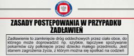 Zasady postępowania w przypadku zadławień ulotka informacyjna