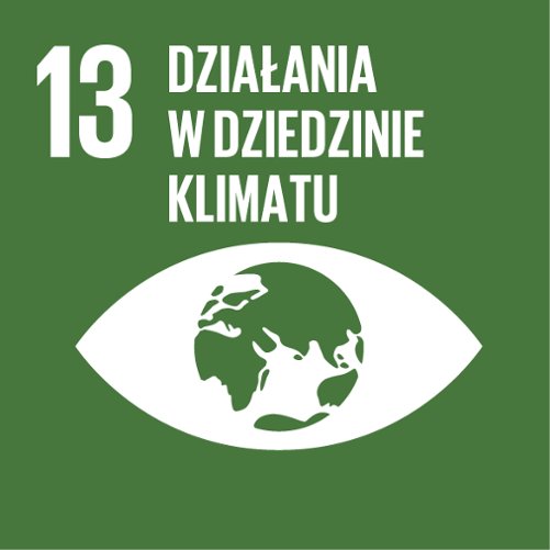 13 Działania w dziedzinie klimatu zielony kwadrat
