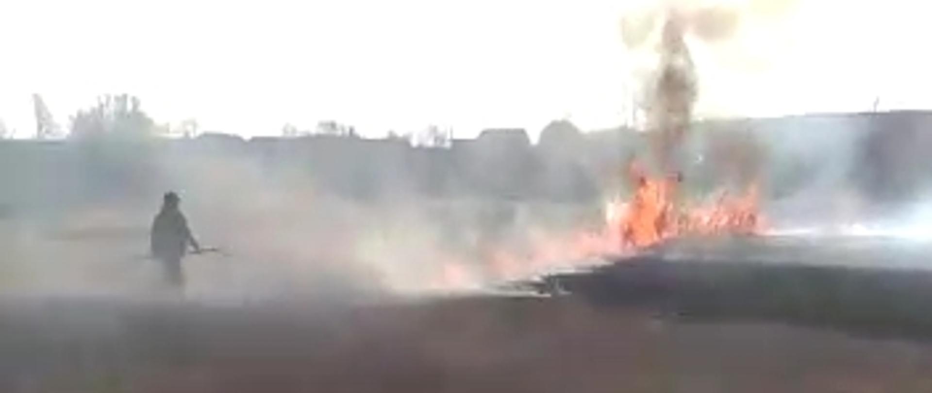 Strażak gaszący pożar traw