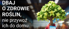 #PlantHealth4Life Dbaj o zdrowie roślin nie przywóź ich do domu