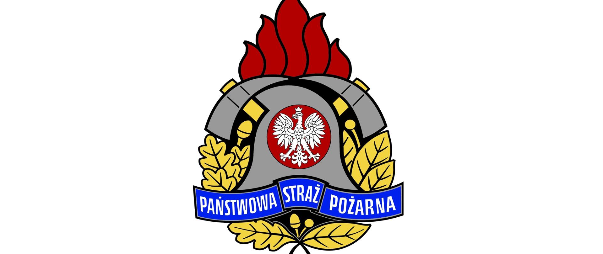 Logo PSP