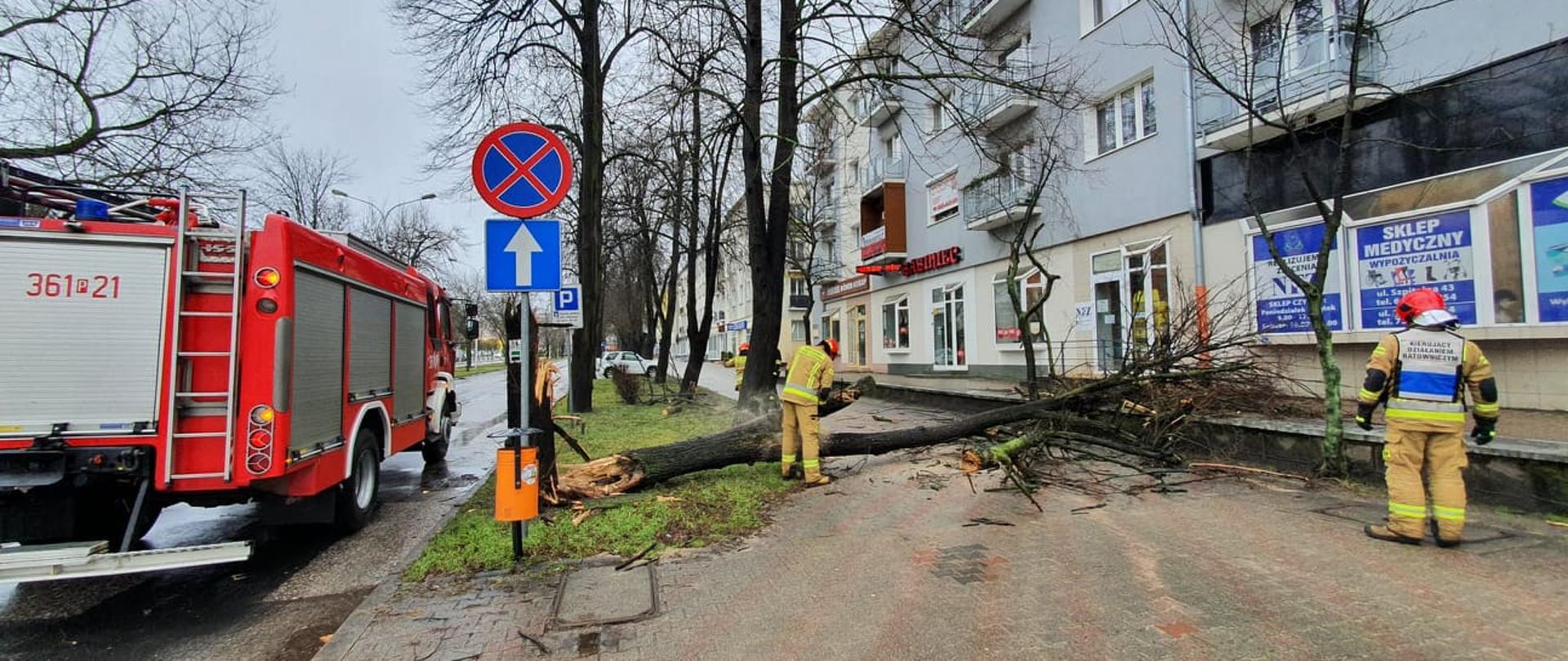 Zdjęcie przedstawia przewrócone drzewo na chodnik. Strażacy przy użyciu pilarki do drewna usuwają zagrożenie. 