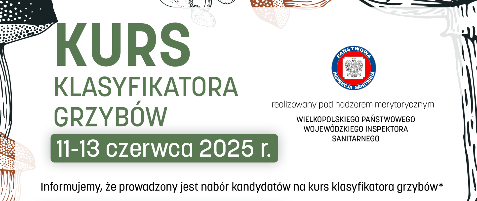 Kurs klasyfikatora grzybów 2025