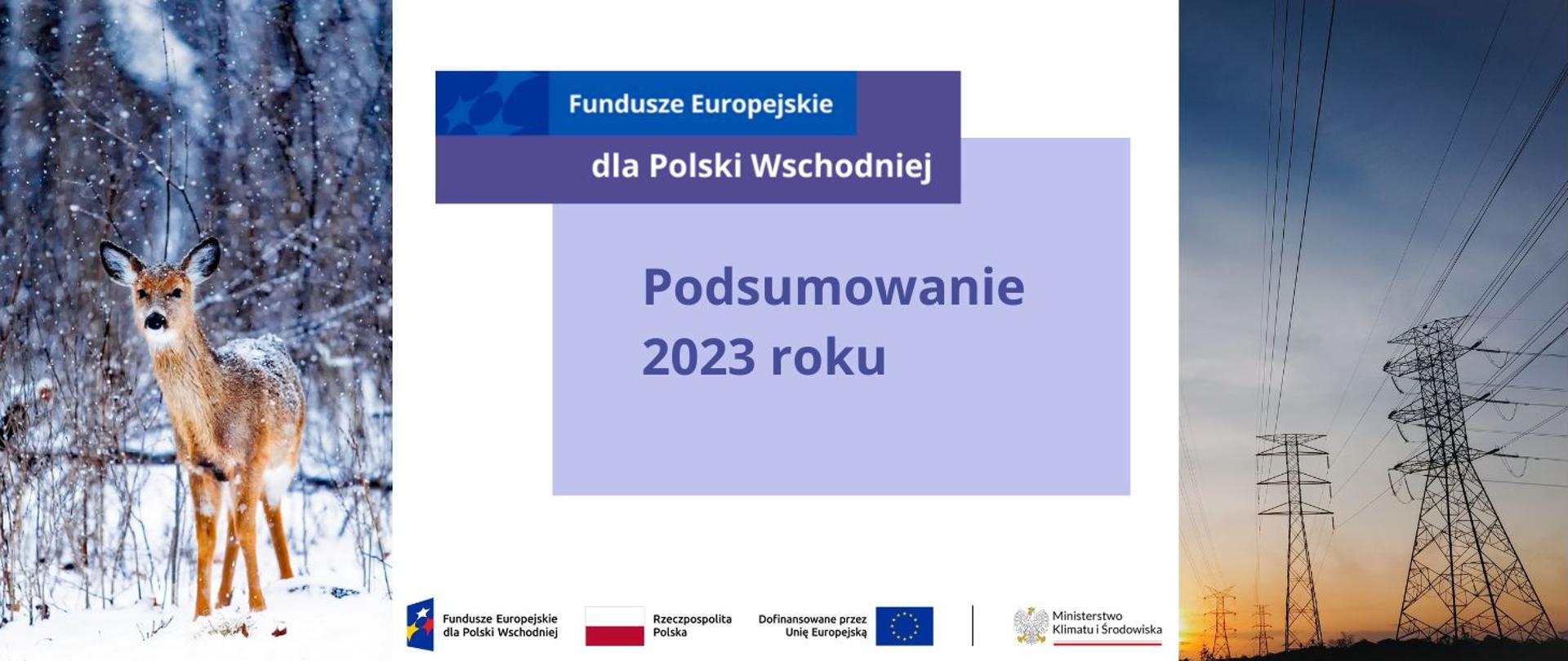 Po prawej zdjęcie sarny w lesie zimą, po lewej słupy wysokiego napięcia, na środku białe pole z logotypem FEPW i w fioletowej ramce napis "Podsumowanie 2023 roku".
